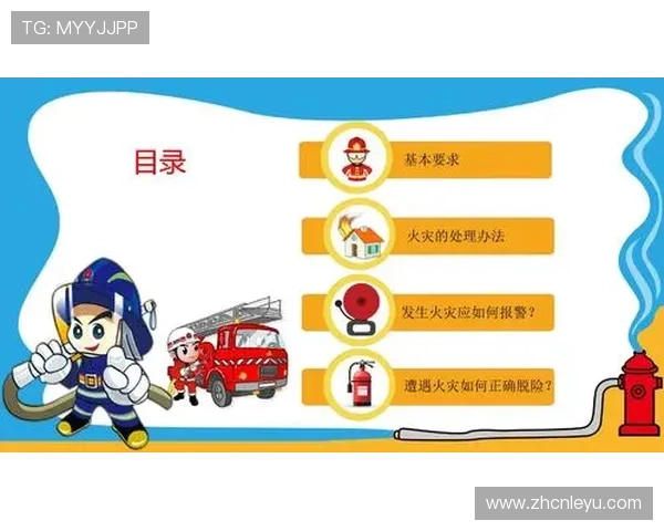 乐鱼官方在线登录入口安全登录流程详细分析，保障玩家账户信息安全无忧