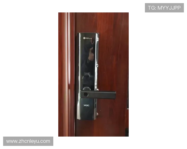 乐鱼官方手机版玩家评论及用户评分，真实体验分享助你选择最优玩法