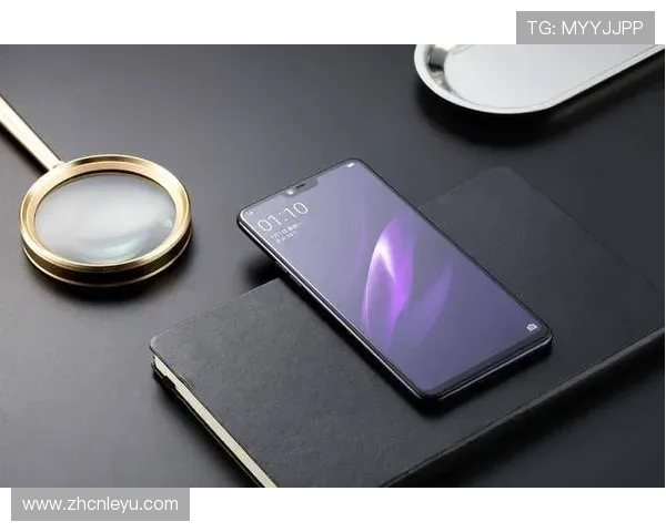 乐鱼官网app安全平台登录最新安全技术应用与用户体验优化