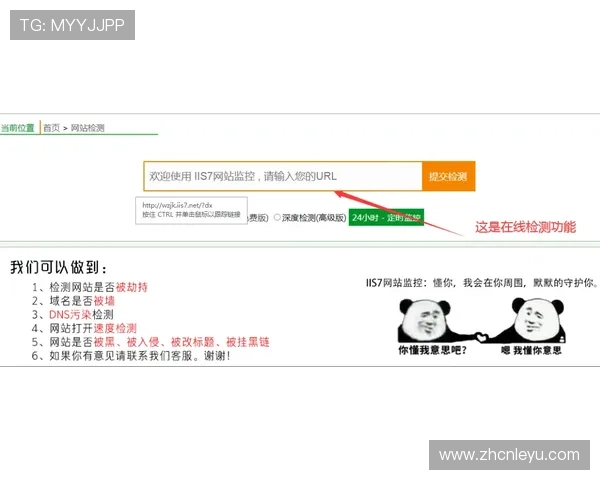 乐鱼网址官方网站入口安全指南，保障您的账号信息及资金安全的最佳实践