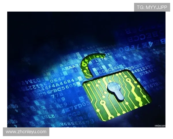 乐鱼小程序安全性分析及隐私保护措施保障用户信息安全