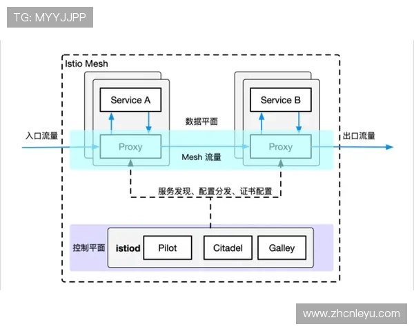 乐鱼开户常见问题解答及详细操作流程帮助用户快速解决注册难题