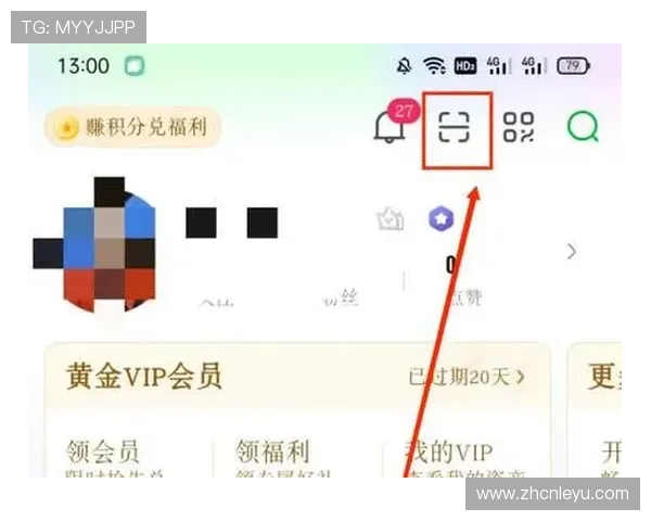 乐鱼手机版会员登录失败常见原因及有效的解决方法详解