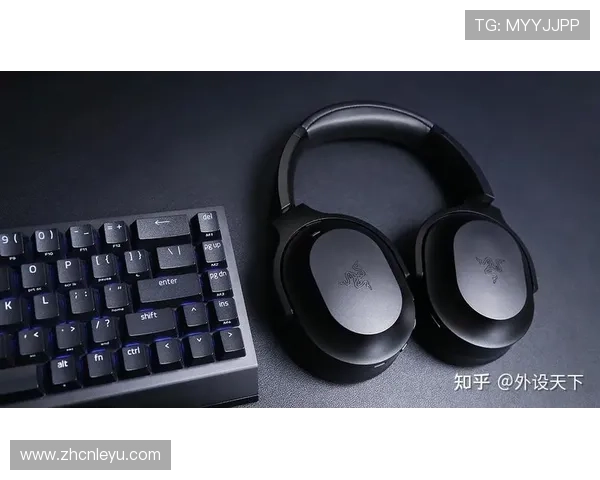 乐鱼真人版全站登录入口全面升级，畅享无缝游戏体验与多平台同步登录服务